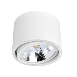 oprawa-sufitowa-spot-bialy-regulowany-gu10-na-zarowke-ar111-lampa-punktowa