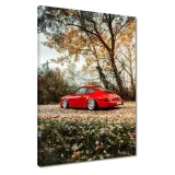 obrazy-50x70-czerwone-porsche-samochod