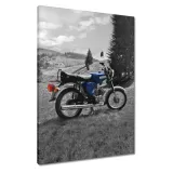 obrazy-50x70-simson-s51-electronic