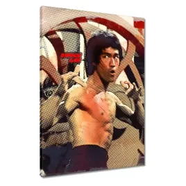 obrazy-50x70-bruce-lee-kungfu