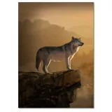 obrazy-50x70-wilk-wilki-wolf-stan-nowy