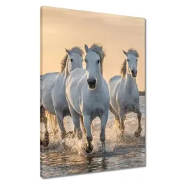 obrazy-50x70-dzikie-konie-wild-horses