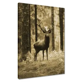 obrazy-50x70-jelen-w-lesie-sepia