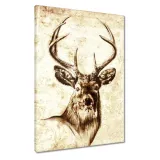 obrazy-50x70-leb-jelenia