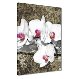 obrazy-50x70-biala-orchidea-marmurkowe-tlo