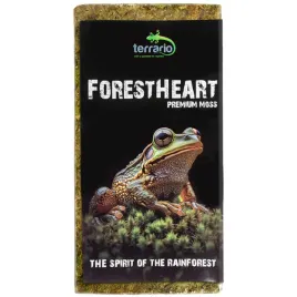 mech-torfowiec-100g-terrario-forestheart-sphagnum-moss
