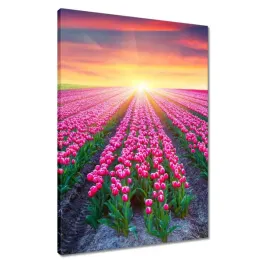 obrazy-50x70-morze-tulipanow-tulipany