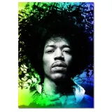 obrazy-50x70-teczowy-hendrix-stan-nowy