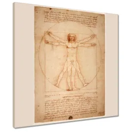 obrazy-50x50-czlowiek-witruwianski-da-vinci