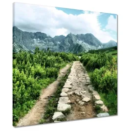 obrazy-50x50-kamienista-droga-tatry