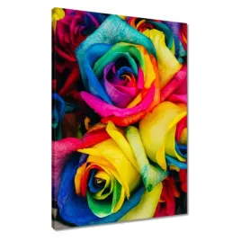 obrazy-50x70-kolorowe-roze-kwiaty
