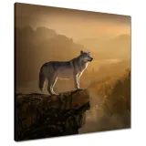 obrazy-50x50-wilk-wilki-wolf