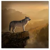 obrazy-50x50-wilk-wilki-wolf-stan-nowy