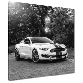 obrazy-50x50-sportowy-ford-mustang