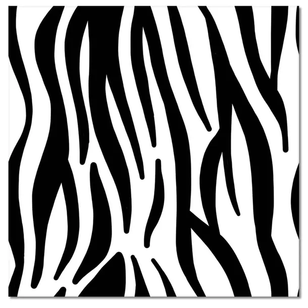 obrazy-50x50-zebra-paski-stan-nowy