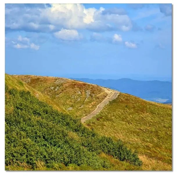 obrazy-50x50-bieszczady-stan-nowy