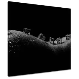 obrazy-50x50-naga-kobieta-i-kostki-lodu