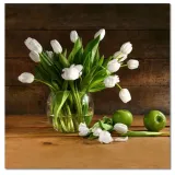 obrazy-50x50-biale-tulipany-stan-nowy