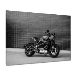 obrazy-80x60-harley-davidson-motocykl