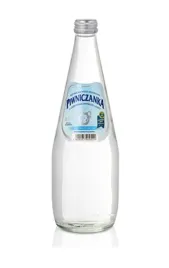woda-mineralna-naturalna-niskonasycona-co2-07-l-piwniczanka