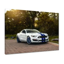 obrazy-80x60-sportowy-ford-mustang
