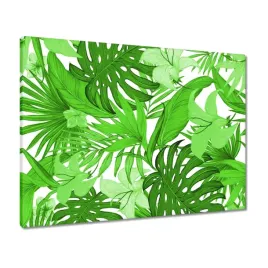 obrazy-80x60-leaves-monstera-new-look