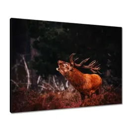 obrazy-80x60-jelen-na-rykowisku-las
