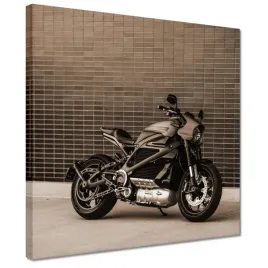 obrazy-30x30-harley-davidson-motocykl