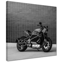 obrazy-30x30-harley-davidson-motocykl