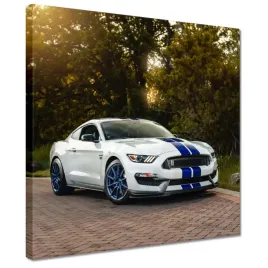 obrazy-30x30-sportowy-ford-mustang