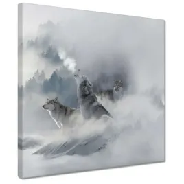 obrazy-30x30-wilki-we-mgle-mgla-zima