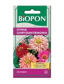 cynia-wytworna-chryzantemowa-nasiona-kwiatow-1g-biopon