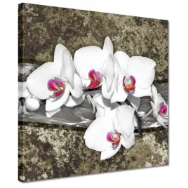 obrazy-30x30-biala-orchidea-marmurkowe-tlo