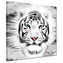 obrazy-30x30-tygrys-leb-zwierze