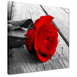 obrazy-30x30-czerwona-roza-na-deskach