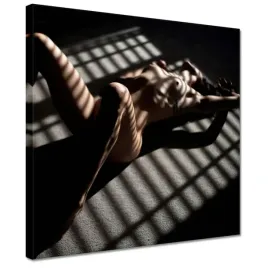 obrazy-30x30-naga-kobieta-laska-cien