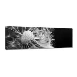 obrazy-120x40-dmuchawiec-kwiat-kwiatki
