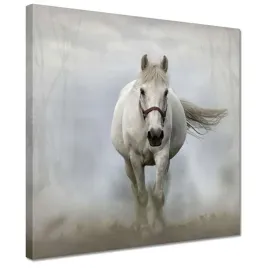 obrazy-30x30-kon-konie-jezdziectwo