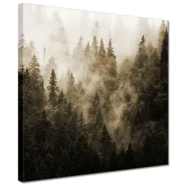 obrazy-30x30-krajobraz-sepia-gory-mgla