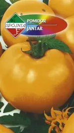 pomidor-gruntowy-zolty-jantar-plenny-wysoki-nasiona-05g-spojnia
