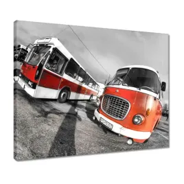 obrazy-50x40-czerwone-jelcze
