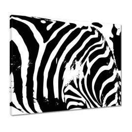 obrazy-50x40-zebra-paski-zwierzak