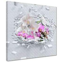 obrazy-30x30-storczykiem-w-mur-kwiaty