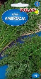 koper-ogrodowy-ambrozja-nasiona-5g-polan