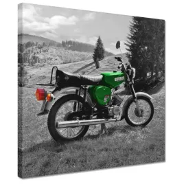 obrazy-30x30-zielony-simson-s51-e