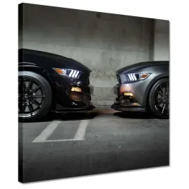 obrazy-30x30-ford-mustang-made-in-usa