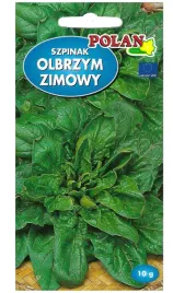 szpinak-olbrzym-zimowy-nasiona-10g-polan