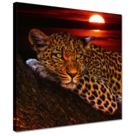 obrazy-30x30-lampart-pantera