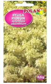 bylica-piolun-nasiona-05g-polan