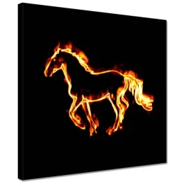 obrazy-30x30-ognisty-rumak